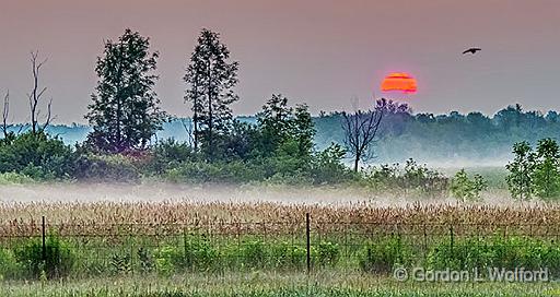 Red Sun Rising_P1150667-9.jpg - Photographed near Smiths Falls, Ontario, Canada.